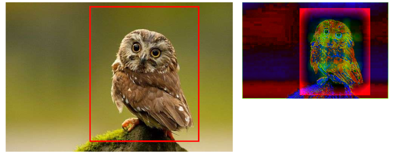Smart Focal Points Example - Owl